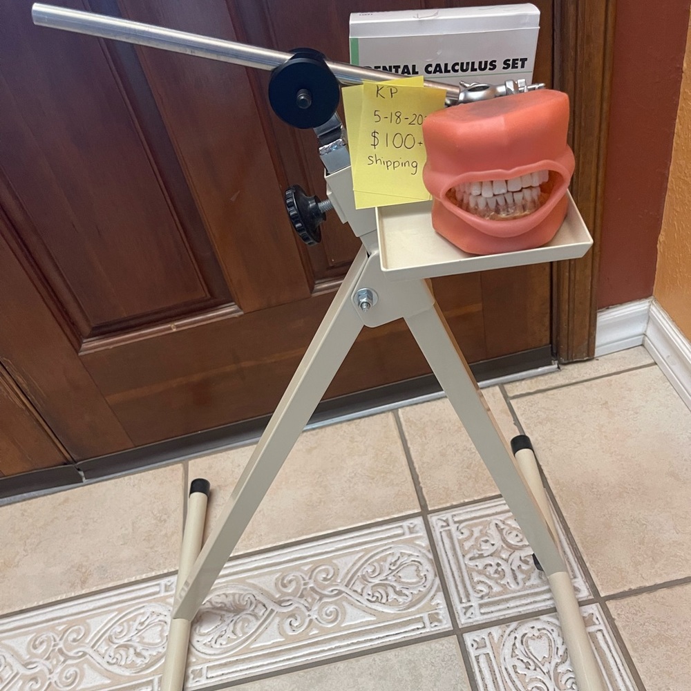 Dental Typodont